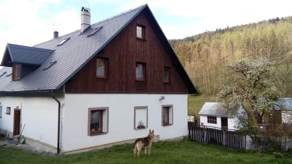 Penzion Edelstejn Petrovice  Luaran gambar