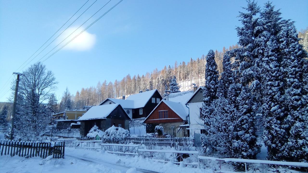 Penzion Edelstejn Petrovice  Luaran gambar